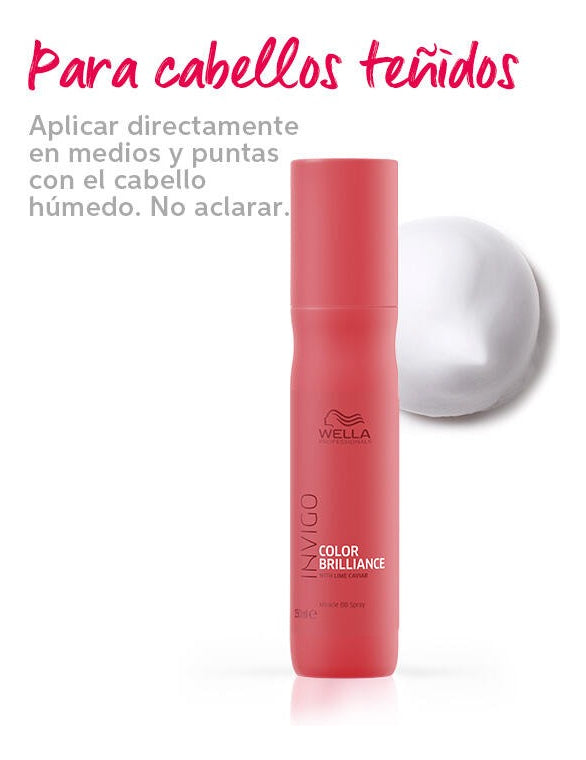Shampoo Wella Invigo Color Brilliance 250ml Cabello Teñido Profesional
