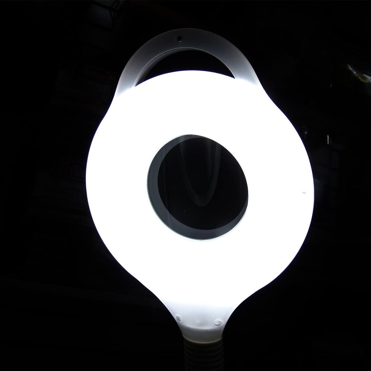 Lámpara de Pedestal con Lupa y Luz LED Profesional - Altura 1.55m