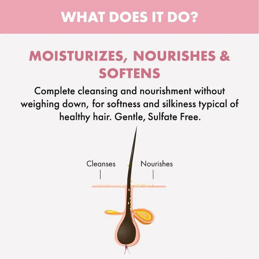 Pack Alfaparf Semi Di Lino Moisture Profesional - Shampoo y Mascarilla Nutritiva